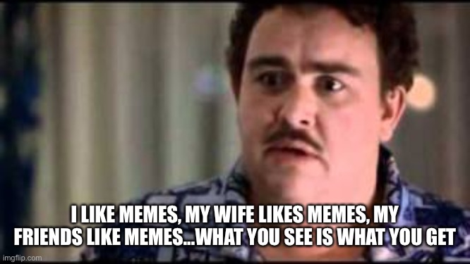 I like memes | I LIKE MEMES, MY WIFE LIKES MEMES, MY FRIENDS LIKE MEMES…WHAT YOU SEE IS WHAT YOU GET | image tagged in memes,john candy | made w/ Imgflip meme maker