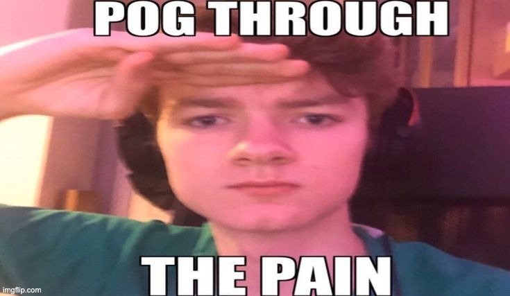 pog | image tagged in pog,very pog | made w/ Imgflip meme maker