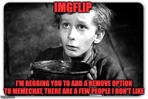 Please | IMGFLIP; I'M BEGGING YOU TO ADD A REMOVE OPTION TO MEMECHAT, THERE ARE A FEW PEOPLE I DON'T LIKE | image tagged in beggar | made w/ Imgflip meme maker
