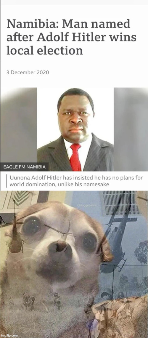 Hitler is still alive | image tagged in ptsd chihuahua | made w/ Imgflip meme maker