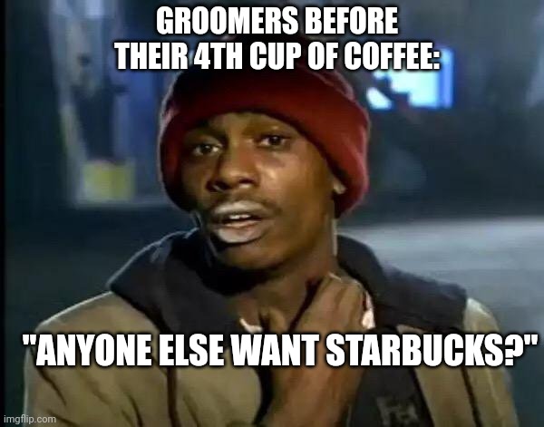 coffee crack | GROOMERS BEFORE THEIR 4TH CUP OF COFFEE:; "ANYONE ELSE WANT STARBUCKS?" | image tagged in memes,y'all got any more of that | made w/ Imgflip meme maker