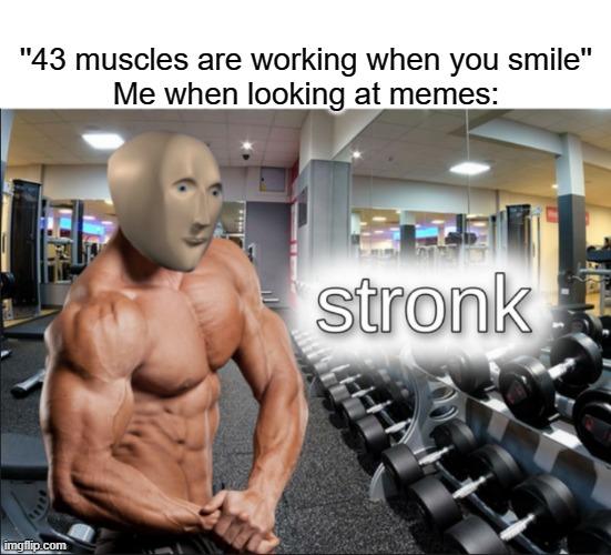 stronks | ''43 muscles are working when you smile''
Me when looking at memes: | image tagged in stronks | made w/ Imgflip meme maker