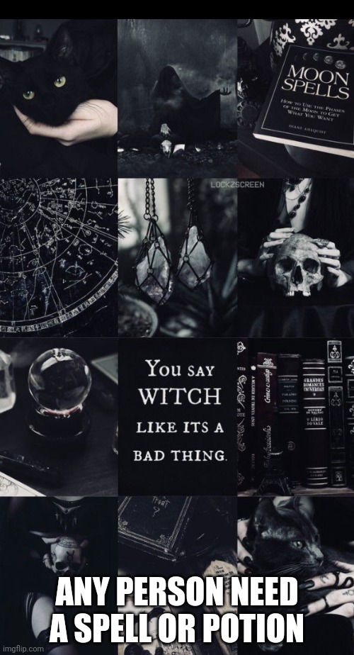 Willows template | ANY PERSON NEED A SPELL OR POTION | image tagged in willows template | made w/ Imgflip meme maker
