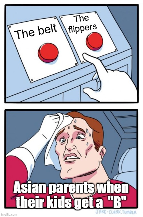 Hard choice | The flippers; The belt; Asian parents when their kids get a  "B" | image tagged in memes,two buttons | made w/ Imgflip meme maker