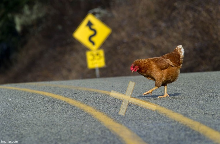 Chicken crossing road | image tagged in chicken crossing road | made w/ Imgflip meme maker