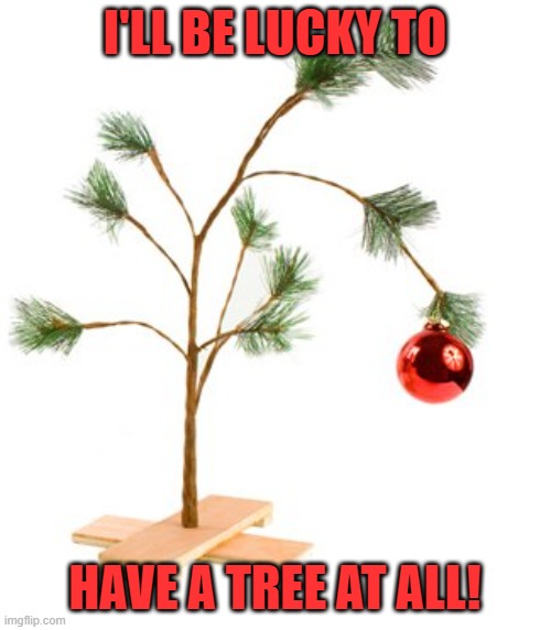 Charlie Brown Tree | I'LL BE LUCKY TO HAVE A TREE AT ALL! | image tagged in charlie brown tree | made w/ Imgflip meme maker
