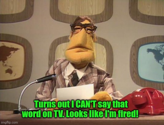 muppet news | Turns out I CAN'T say that word on TV. Looks like I'm fired! | image tagged in muppet news | made w/ Imgflip meme maker