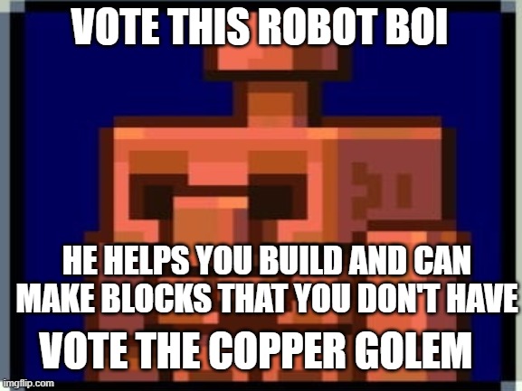 vote the copper golem | VOTE THIS ROBOT BOI; HE HELPS YOU BUILD AND CAN MAKE BLOCKS THAT YOU DON'T HAVE; VOTE THE COPPER GOLEM | image tagged in vote,for,the,copper,golem,this isn't for dream | made w/ Imgflip meme maker