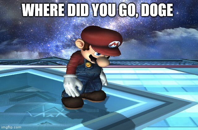 Sad Mario | WHERE DID YOU GO, DOGE | image tagged in sad mario | made w/ Imgflip meme maker
