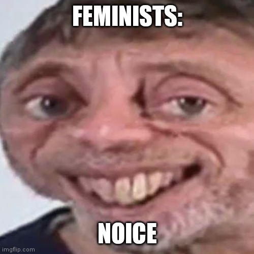 Noice | FEMINISTS: NOICE | image tagged in noice | made w/ Imgflip meme maker