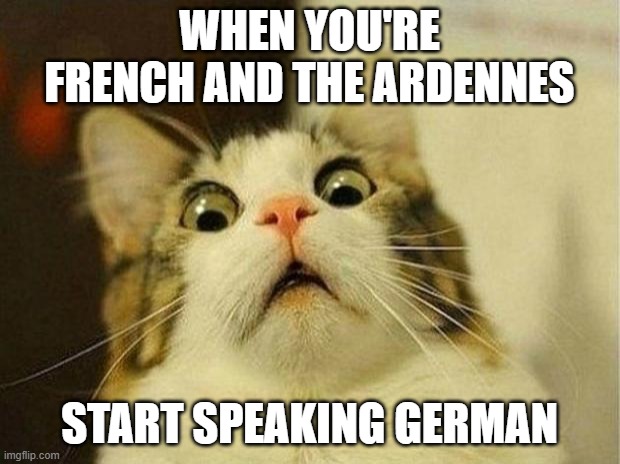 Scared Cat |  WHEN YOU'RE FRENCH AND THE ARDENNES; START SPEAKING GERMAN | image tagged in memes,scared cat | made w/ Imgflip meme maker