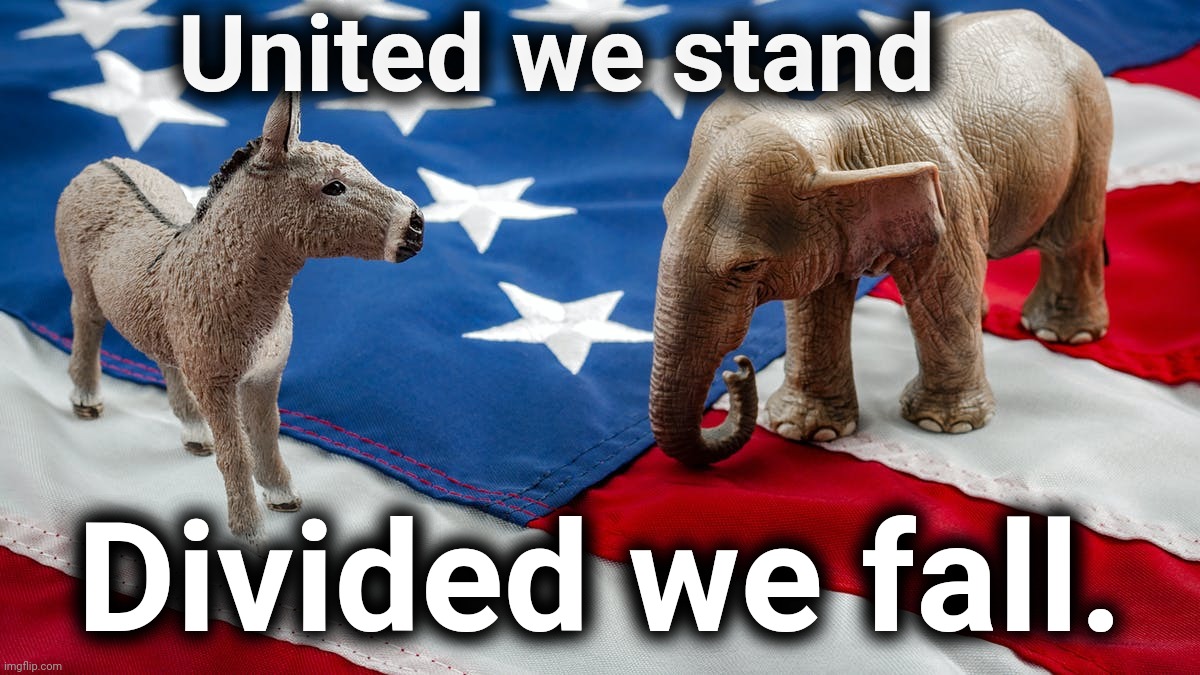 2 Party System | United we stand; Divided we fall. | image tagged in usa,donald trump,joe biden,america,justjeff | made w/ Imgflip meme maker