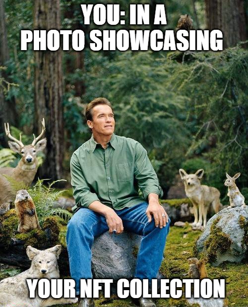 NFT WEIGT | YOU: IN A PHOTO SHOWCASING; YOUR NFT COLLECTION | image tagged in schwarzenegger in the woods with animals | made w/ Imgflip meme maker