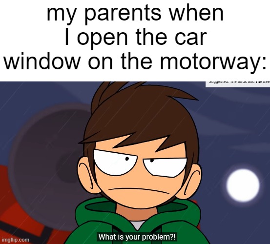 bgrt34e2rfegvbffbrt34 | my parents when I open the car window on the motorway: | image tagged in what is your problem | made w/ Imgflip meme maker