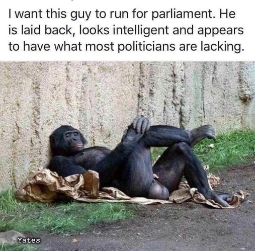 Political Ape | Yates | image tagged in political ape | made w/ Imgflip meme maker