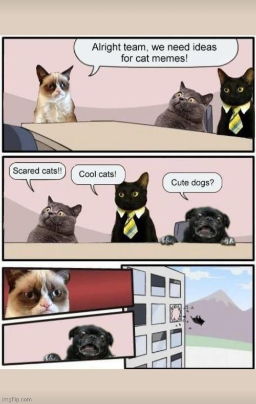 Cat memes with Grump | image tagged in cats,board room meeting,funny cat memes | made w/ Imgflip meme maker