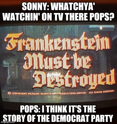 They created a Monster | SONNY: WHATCHYA' WATCHIN' ON TV THERE POPS? POPS: I THINK IT'S THE STORY OF THE DEMOCRAT PARTY | image tagged in you've become the very thing you swore to destroy,democrats,scumbags,angry liberal | made w/ Imgflip meme maker