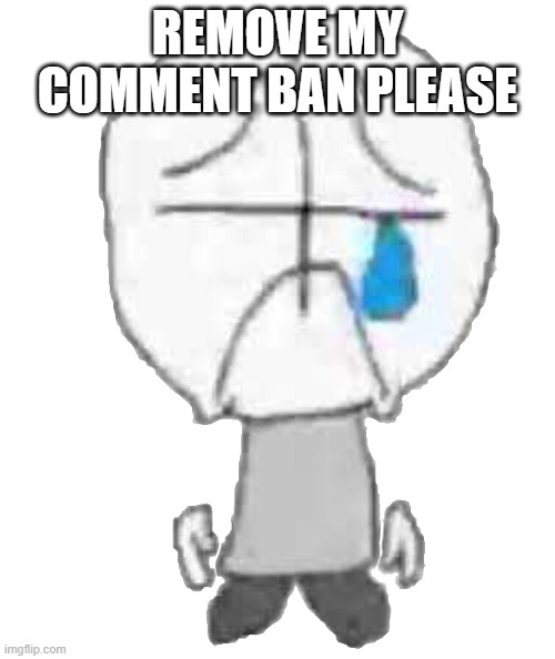 +( | REMOVE MY COMMENT BAN PLEASE | image tagged in sadness combat grunt | made w/ Imgflip meme maker