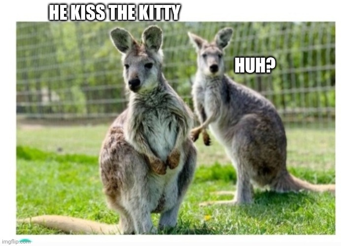 HE KISS THE KITTY HUH? | made w/ Imgflip meme maker