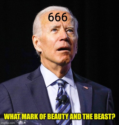Joe Biden | 666 WHAT MARK OF BEAUTY AND THE BEAST? | image tagged in joe biden | made w/ Imgflip meme maker