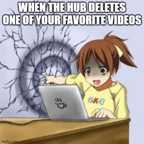 Really tho, why do they get deleted? | WHEN THE HUB DELETES ONE OF YOUR FAVORITE VIDEOS | image tagged in anime wall punch | made w/ Imgflip meme maker