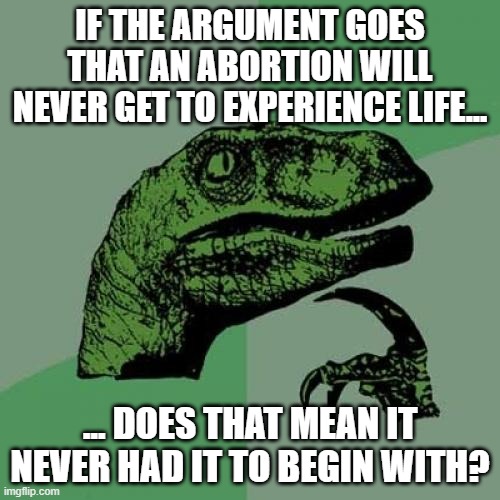 Philosoraptor | IF THE ARGUMENT GOES THAT AN ABORTION WILL NEVER GET TO EXPERIENCE LIFE... ... DOES THAT MEAN IT NEVER HAD IT TO BEGIN WITH? | image tagged in memes,philosoraptor | made w/ Imgflip meme maker