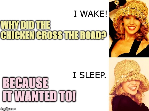 Kylie I wake/I sleep | WHY DID THE CHICKEN CROSS THE ROAD? BECAUSE IT WANTED TO! | image tagged in kylie i wake/i sleep | made w/ Imgflip meme maker