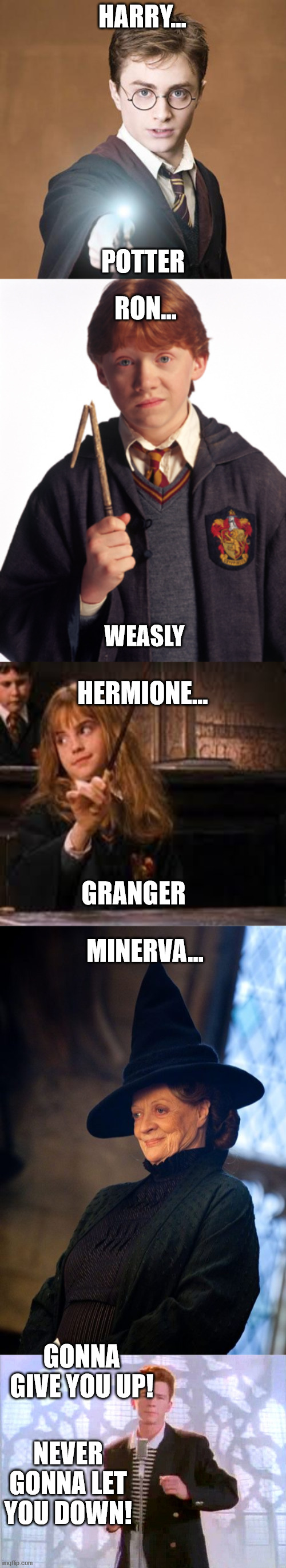 Harry Potter | HARRY... POTTER; RON... WEASLY; HERMIONE... GRANGER; MINERVA... GONNA GIVE YOU UP! NEVER GONNA LET YOU DOWN! | image tagged in harry potter casting a spell,ron weasley broken wand,hermione,minerva mcgonagall | made w/ Imgflip meme maker