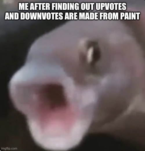 Poggers Fish | ME AFTER FINDING OUT UPVOTES AND DOWNVOTES ARE MADE FROM PAINT | image tagged in poggers fish | made w/ Imgflip meme maker