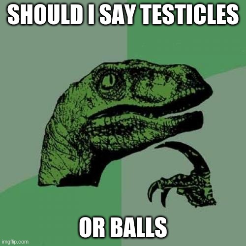 idk | SHOULD I SAY TESTICLES; OR BALLS | image tagged in memes,philosoraptor | made w/ Imgflip meme maker