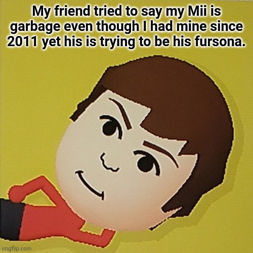 My friend tried to say my Mii is garbage even though I had mine since 2011 yet his is trying to be his fursona. | made w/ Imgflip meme maker