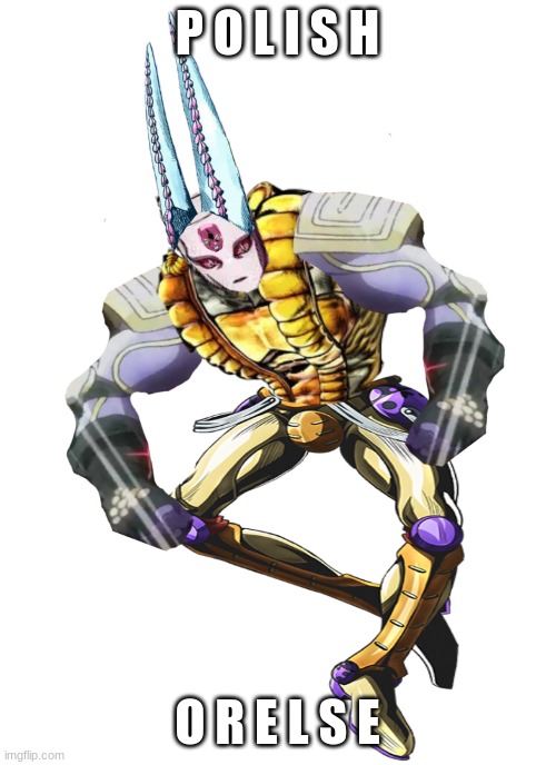 king dirty experience platinum bites the world requiem | P O L I S H O R E L S E | image tagged in king dirty experience platinum bites the world requiem | made w/ Imgflip meme maker