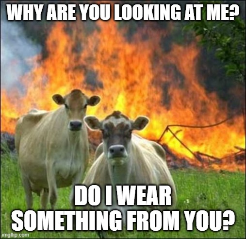 Evil Cows |  WHY ARE YOU LOOKING AT ME? DO I WEAR SOMETHING FROM YOU? | image tagged in memes,evil cows | made w/ Imgflip meme maker