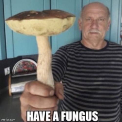 Gm | image tagged in have a fungus | made w/ Imgflip meme maker