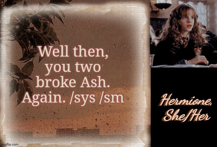 Hermione | Well then, you two broke Ash. Again. /sys /sm | image tagged in hermione | made w/ Imgflip meme maker
