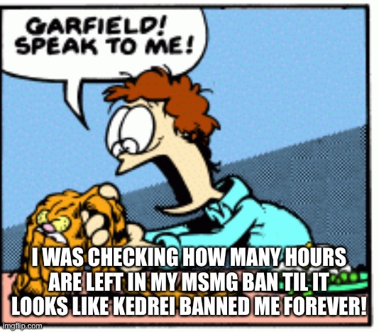 Garfield speak to me! | I WAS CHECKING HOW MANY HOURS ARE LEFT IN MY MSMG BAN TIL IT LOOKS LIKE KEDREI BANNED ME FOREVER! | image tagged in garfield speak to me | made w/ Imgflip meme maker