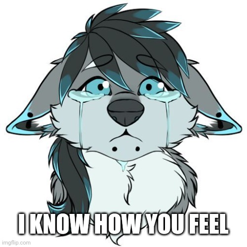 Sad Furry | I KNOW HOW YOU FEEL | image tagged in sad furry | made w/ Imgflip meme maker