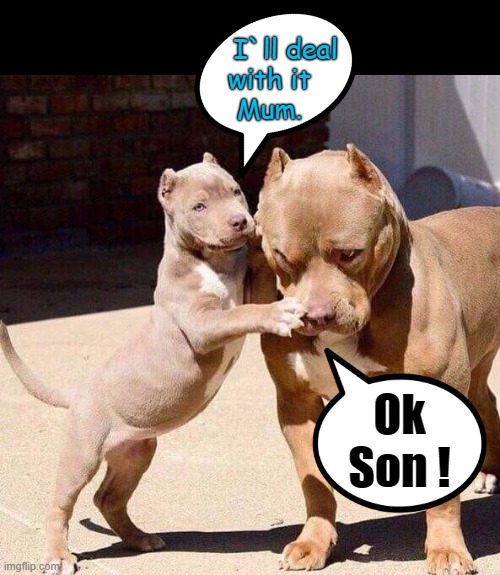 Trusted Son ! | I`ll deal
with it  
   Mum. Ok
Son ! | image tagged in deal with it | made w/ Imgflip meme maker