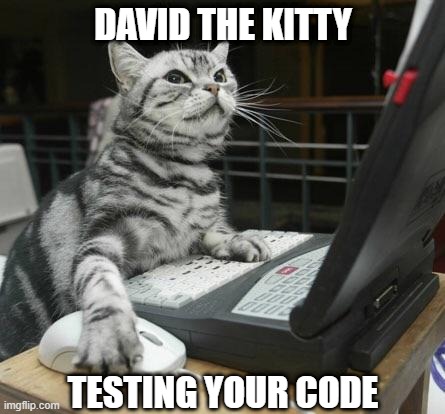 Catto Testing your code | DAVID THE KITTY; TESTING YOUR CODE | image tagged in coding cat,memes,programming,funny memes,cats | made w/ Imgflip meme maker