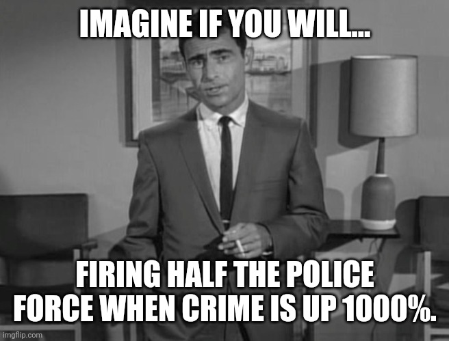 Can't even guarantee our public safety anymore. | IMAGINE IF YOU WILL... FIRING HALF THE POLICE FORCE WHEN CRIME IS UP 1000%. | image tagged in memes | made w/ Imgflip meme maker