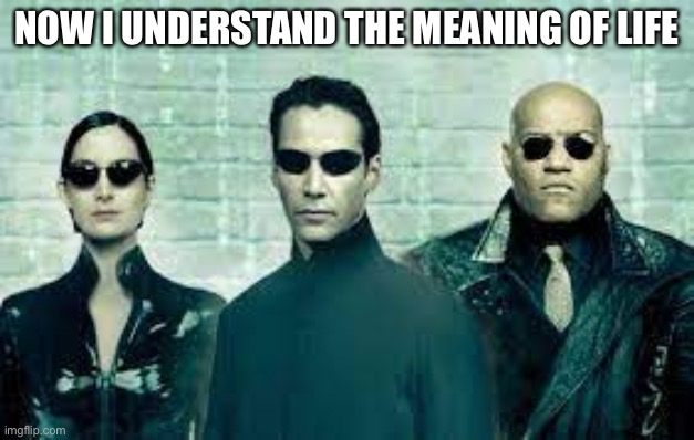 NOW I UNDERSTAND THE MEANING OF LIFE | image tagged in life | made w/ Imgflip meme maker