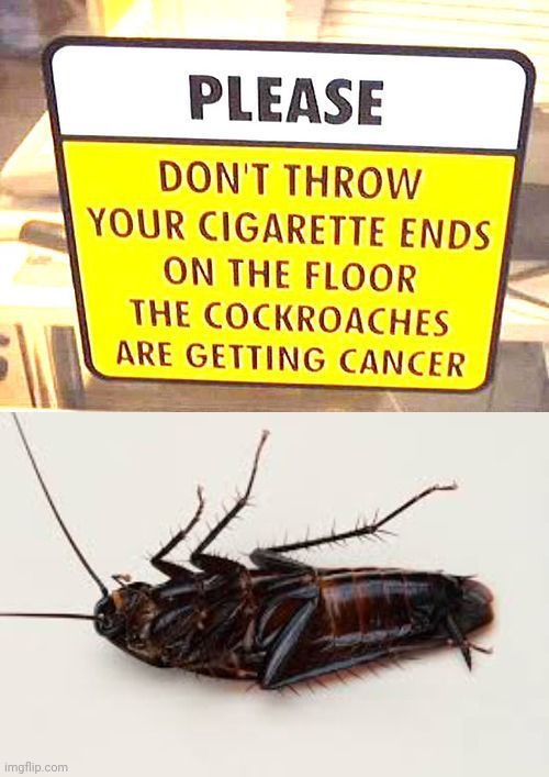 Oop | image tagged in cockroach,cigarettes,cigarette,memes,cancer,funny signs | made w/ Imgflip meme maker