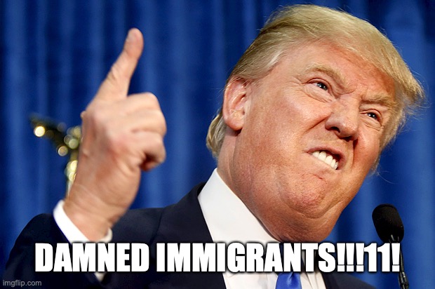 Donald Trump | DAMNED IMMIGRANTS!!!11! | image tagged in donald trump | made w/ Imgflip meme maker