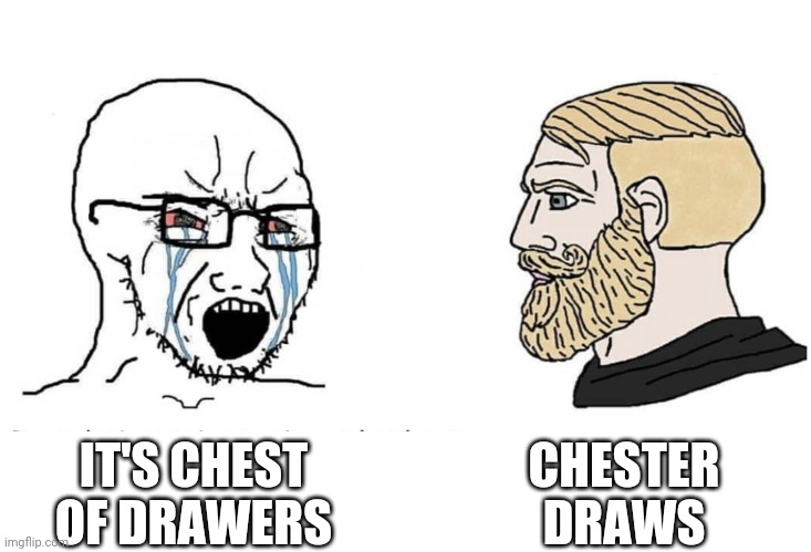 Soyboy Vs Yes Chad | CHESTER DRAWS; IT'S CHEST OF DRAWERS | image tagged in soyboy vs yes chad | made w/ Imgflip meme maker