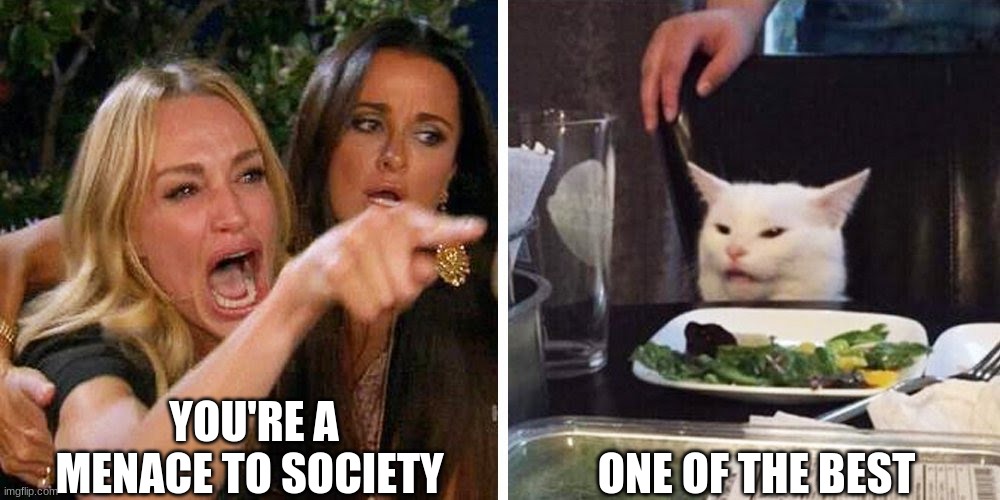 Smudge the cat | YOU'RE A MENACE TO SOCIETY; ONE OF THE BEST | image tagged in smudge the cat | made w/ Imgflip meme maker