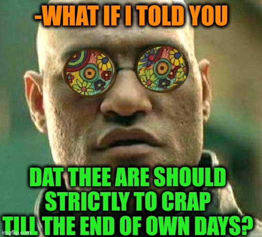 -That drop from ass. | -WHAT IF I TOLD YOU; DAT THEE ARE SHOULD STRICTLY TO CRAP TILL THE END OF OWN DAYS? | image tagged in acid kicks in morpheus,toilet humor,toilet paper,bored of this crap,waste of time,joe dirt | made w/ Imgflip meme maker