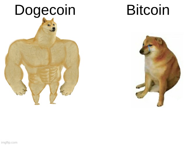 Buff Doge vs. Cheems | Dogecoin; Bitcoin | image tagged in memes,buff doge vs cheems | made w/ Imgflip meme maker