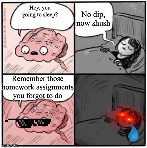Brain Before Sleep | No dip, now shush; Hey, you going to sleep? Remember those homework assignments you forgot to do | image tagged in brain before sleep | made w/ Imgflip meme maker