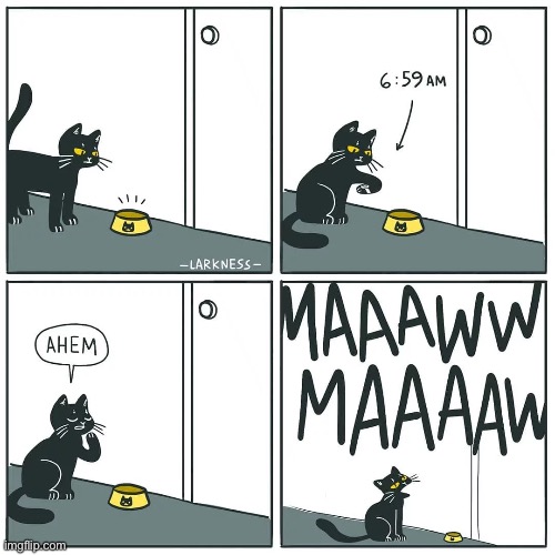 When your cat hates you in the morning. | image tagged in comics/cartoons | made w/ Imgflip meme maker