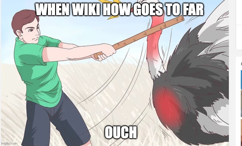Wiki how ostrich | WHEN WIKI HOW GOES TO FAR; OUCH | image tagged in wikihow | made w/ Imgflip meme maker